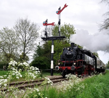 JPGfoto_018.JPG