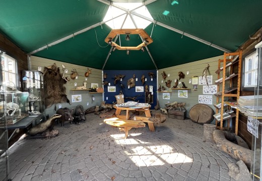 Natuurhut