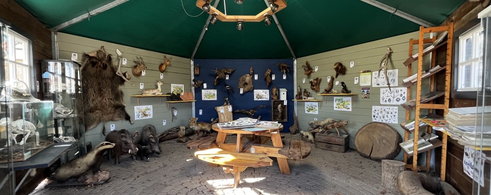 Natuurhut