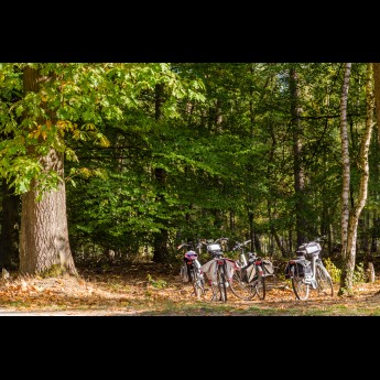 Camping Veluwezoom fietsen