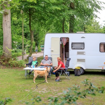 Camping Veluwe met hond