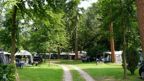 Comfortplaatsen