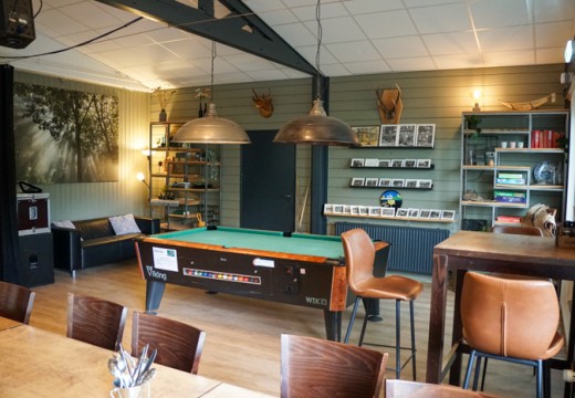 Relax hoek met biljarttafel
