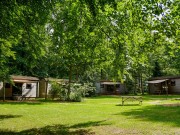 Woodlodge veldje