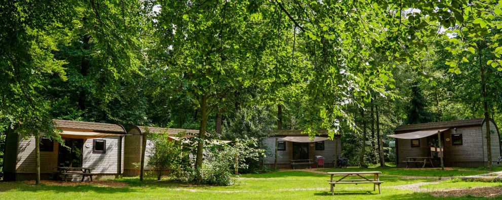 Woodlodge veldje