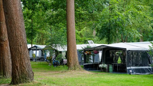 Comfortplaatsen