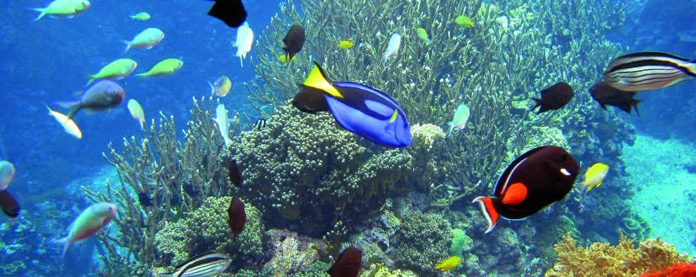 Burgers zoo 6 Burgers zoo 6