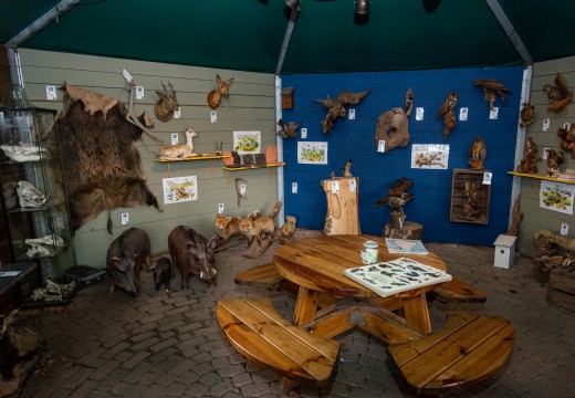 Natuurhut.jpg Natuurhut.jpg