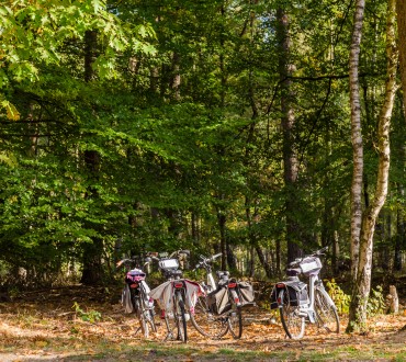 Camping Veluwezoom fietsen