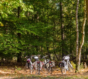 Fietsverhuur