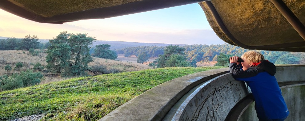 Veluwe 2.jpg