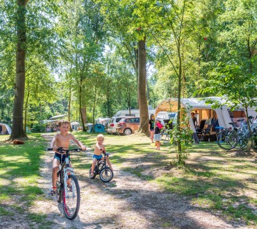Camping Veluwe met hond kamperen
