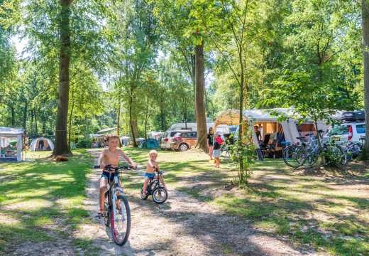 Camping de Jutberg - kamperen in Gelderland - Kamperen in Nederland - Kindervakanties in Nederland 3