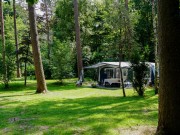 Natuurplaats - 1 caravan