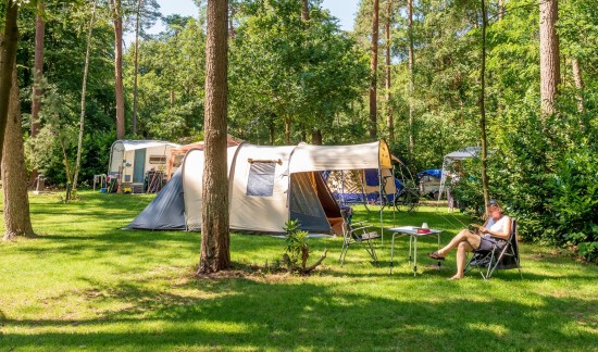 Kamperen natuurplaats Jutberg.jpg