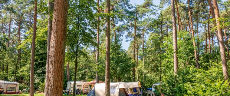 Jutberg Natuurplaats