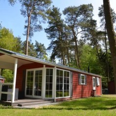 Lodge Chalet - Veluwezoomlodge 1