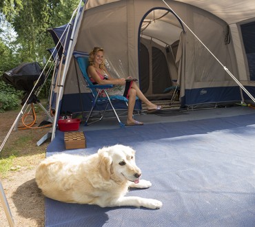 Camping Veluwe met hond kamperen