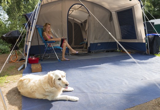 Camping Veluwe met hond kamperen