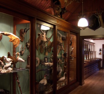 NDWT Rariteitenkabinet.jpg