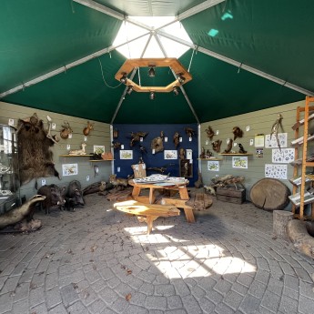 Natuurhut