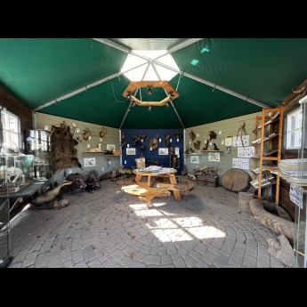 Natuurhut