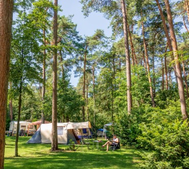 Camping Veluwezoom kamperen