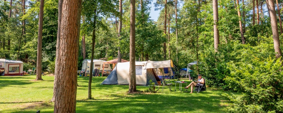 Camping Veluwezoom kamperen